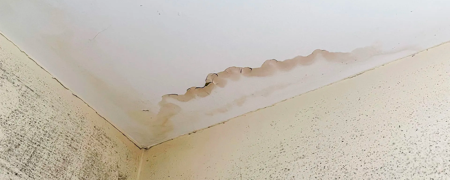 Ceiling with water stain indicating early signs of water damage in a Kelowna home.