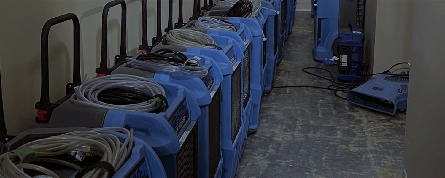 Professional drying equipment removing moisture from a water-damaged home to prevent mold and structural issues.