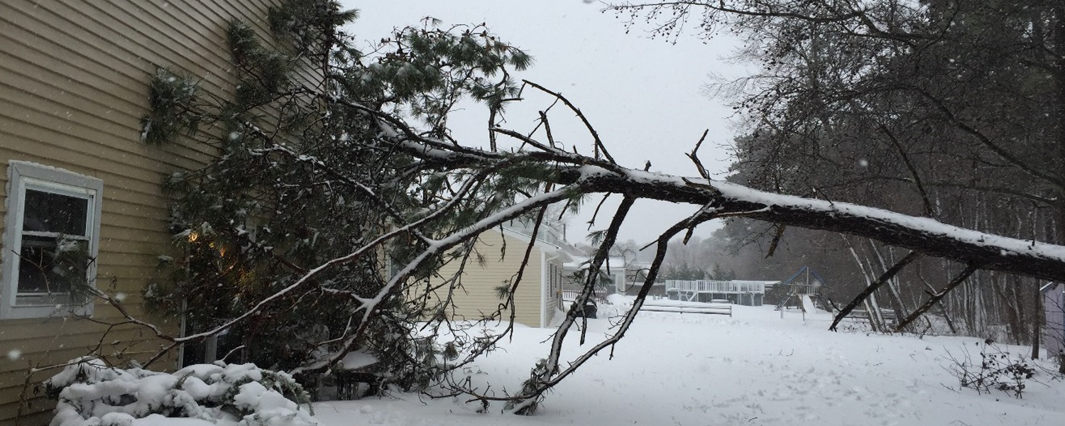 Winter storm restoration services in Kelowna